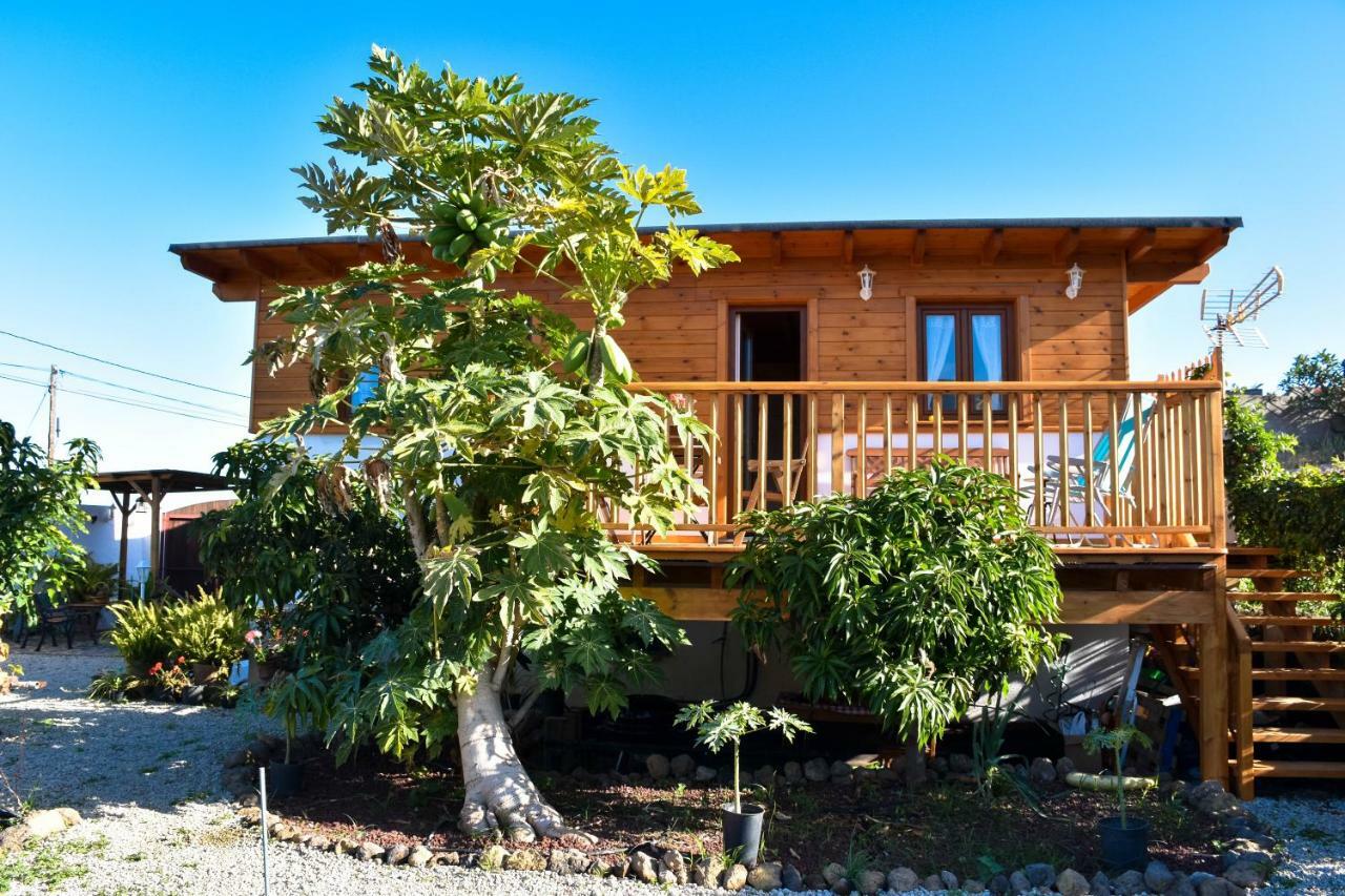 Casa vacanze Vinas 2 Icod De Los Vinos
