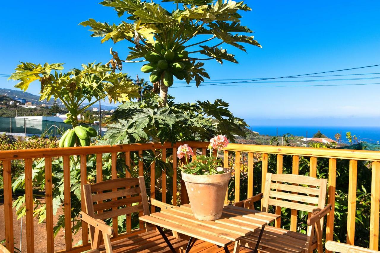 Casa vacanze Vinas 2 Icod De Los Vinos